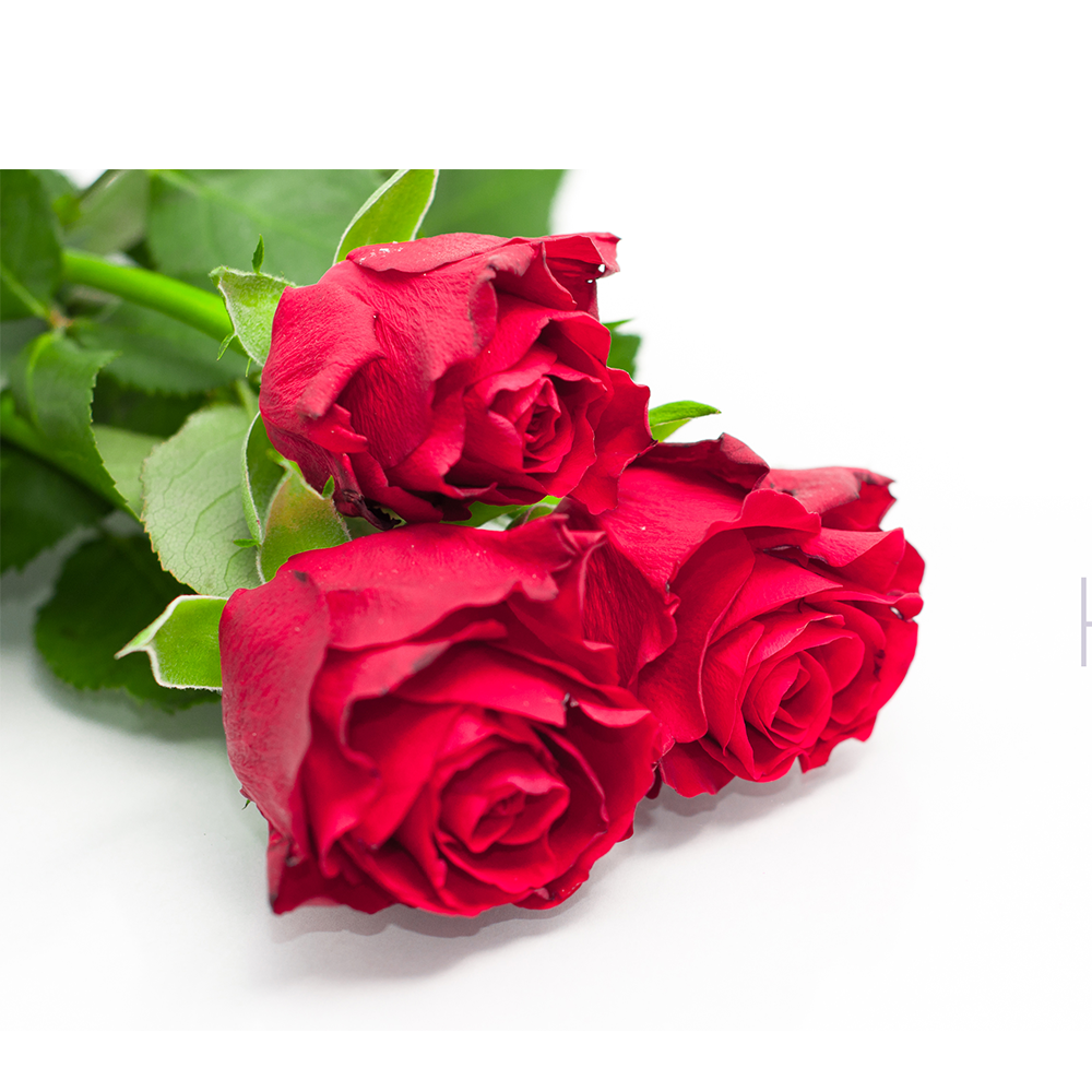 3 Rose Rosse da 70 cm