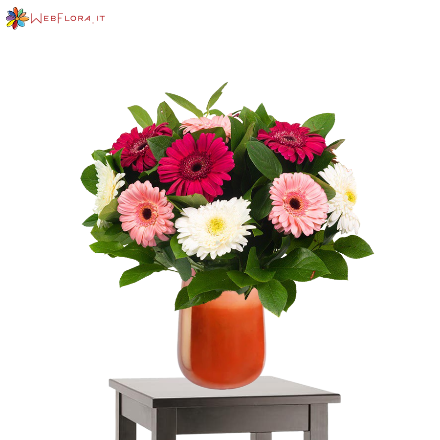 Bouquet Gerbere di 3 colori