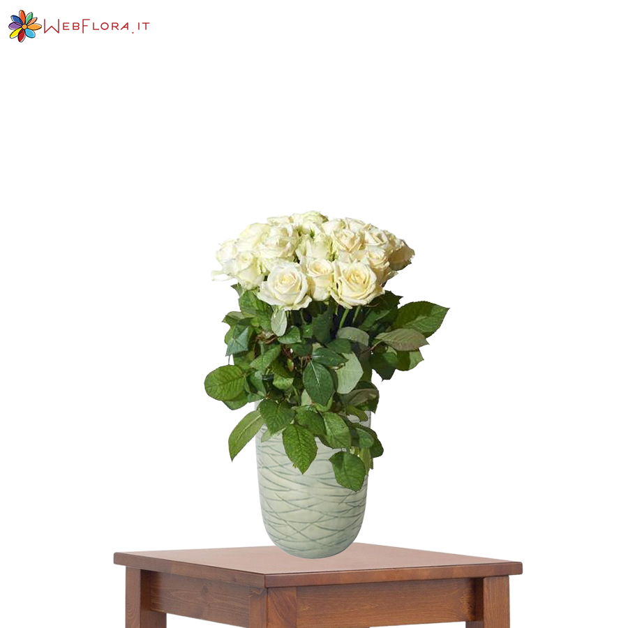 12 Rose Bianche da 50 cm