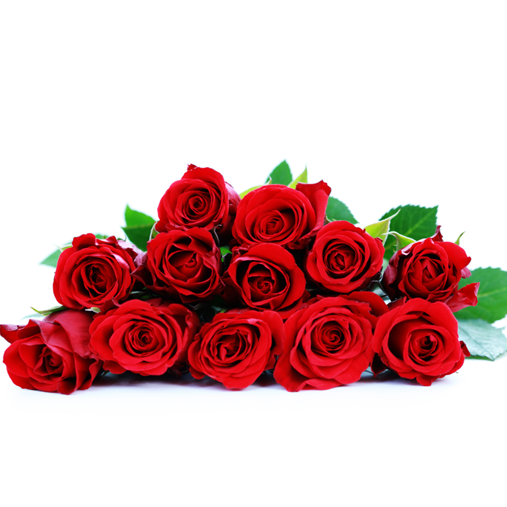12 Rose Rosse da 70 cm