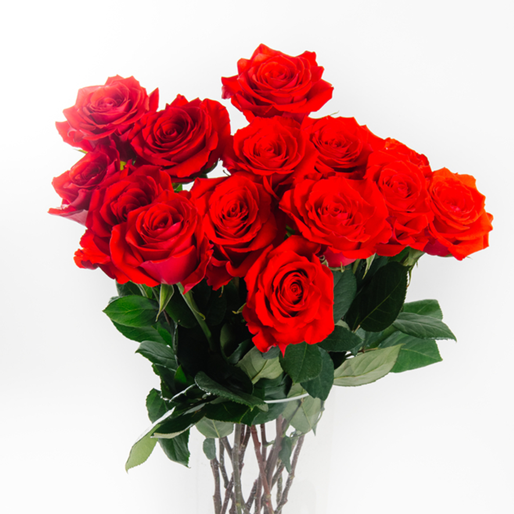12 Rose Rosse da 70 cm