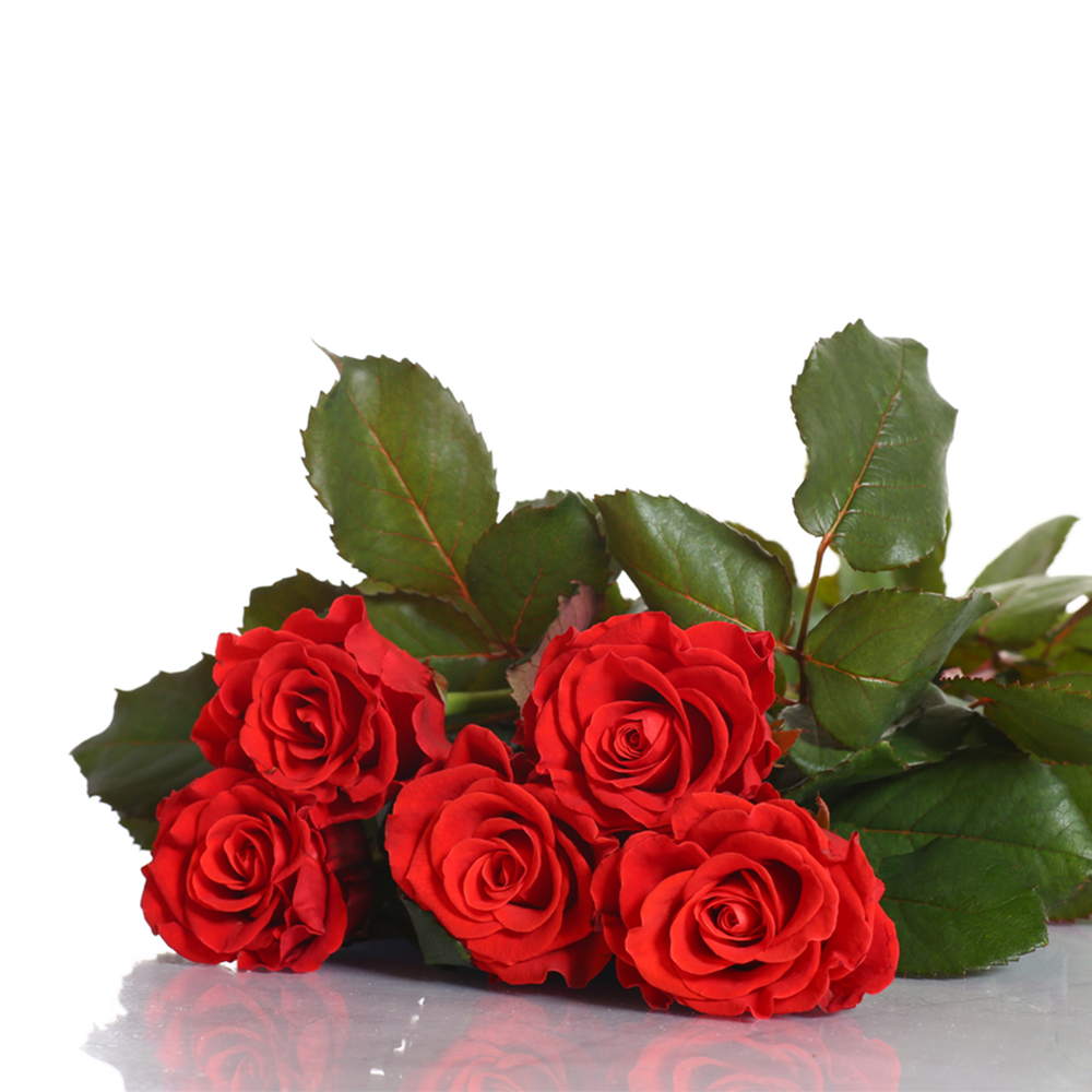 5 Rose Rosse da 70 cm