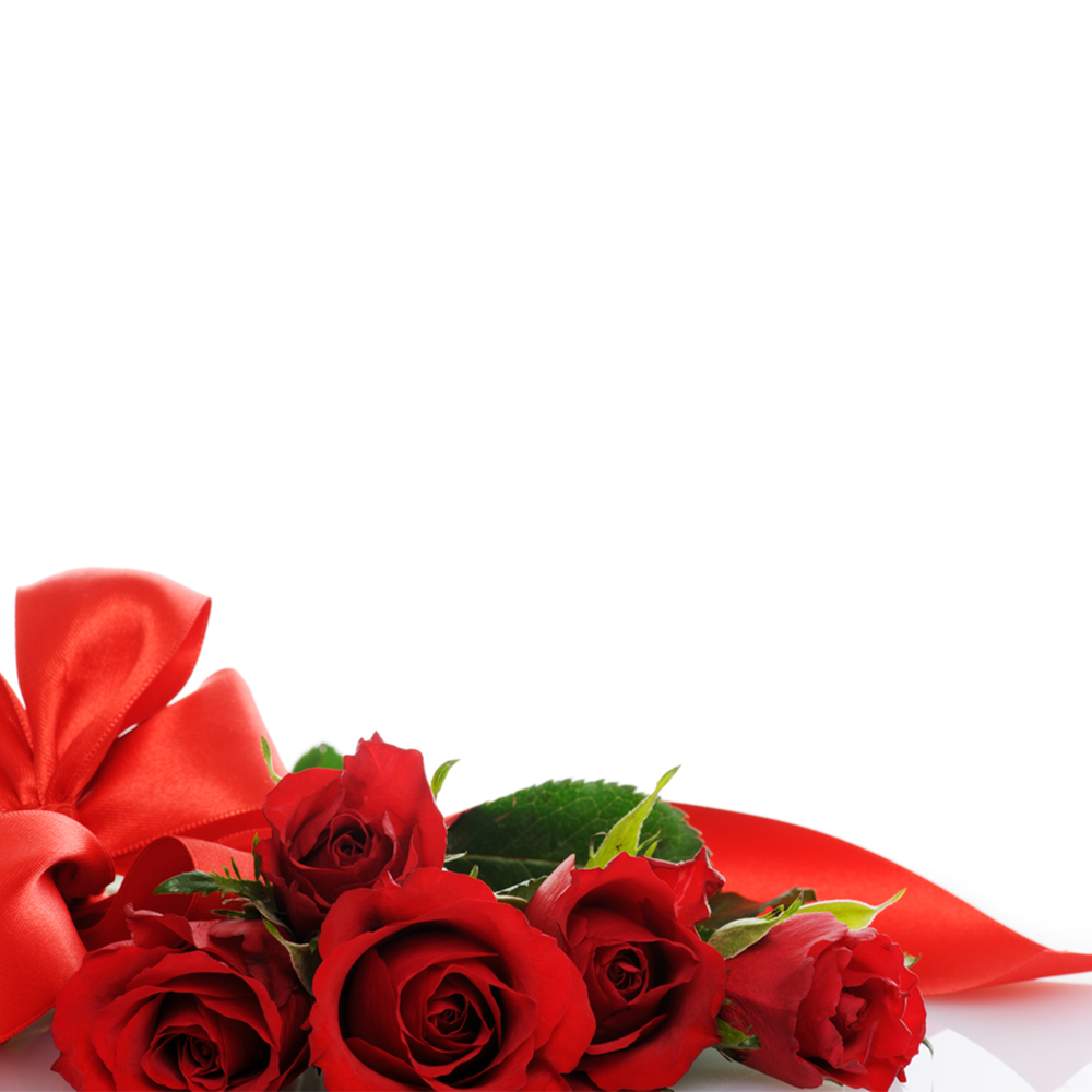 5 Rose Rosse da 70 cm