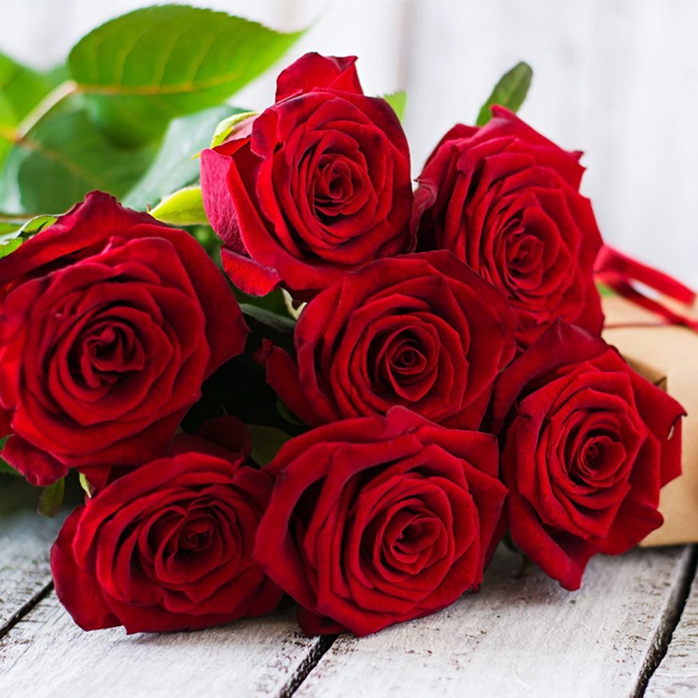 7 Rose Rosse da 70 cm