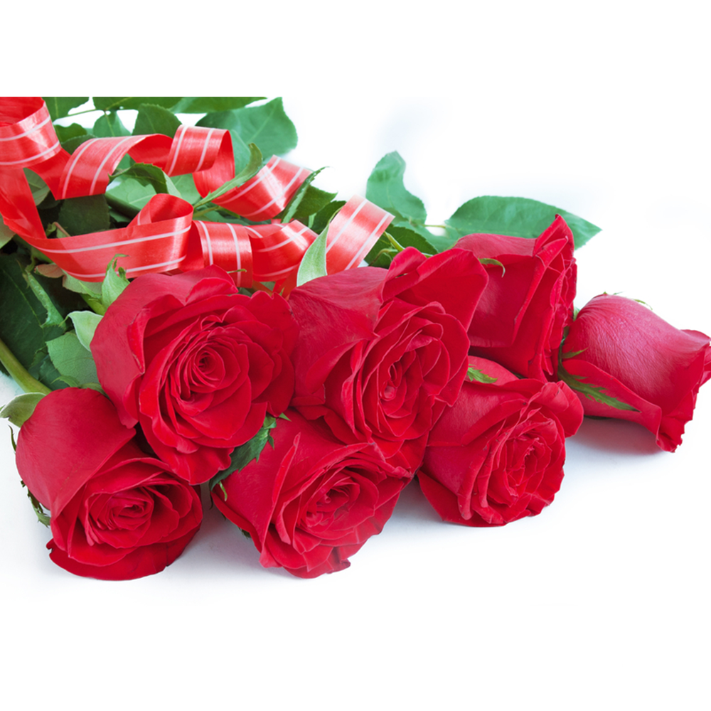 7 Rose Rosse da 70 cm