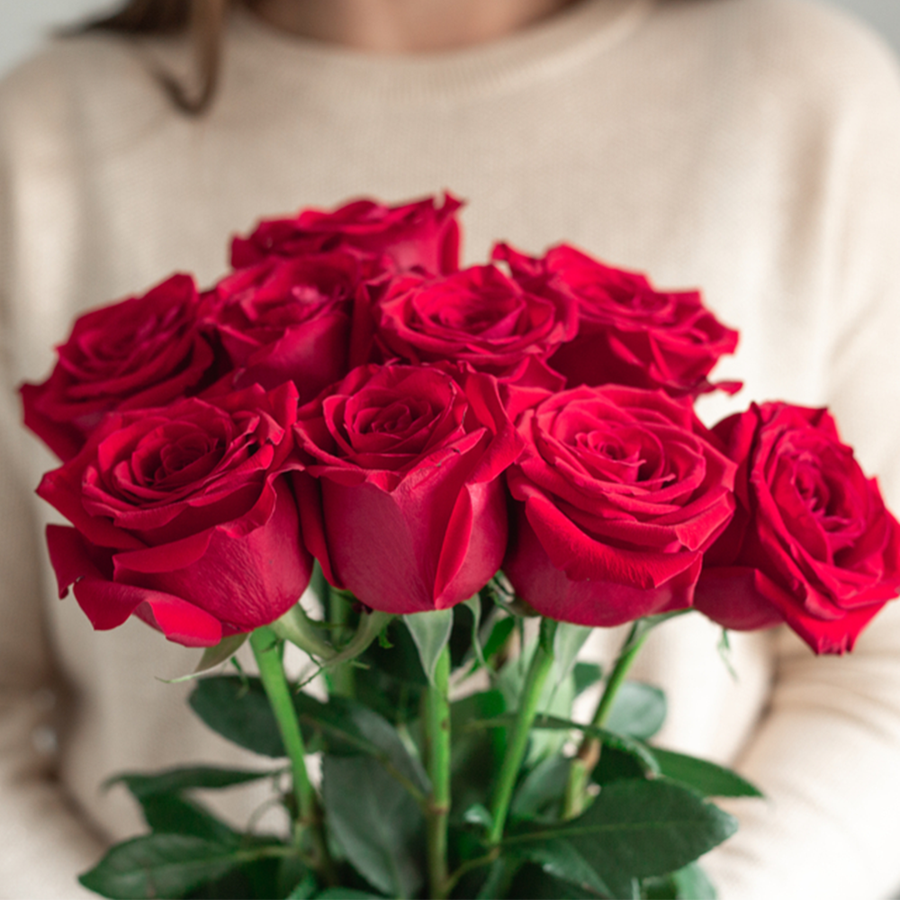 9 Rose Rosse da 70 cm