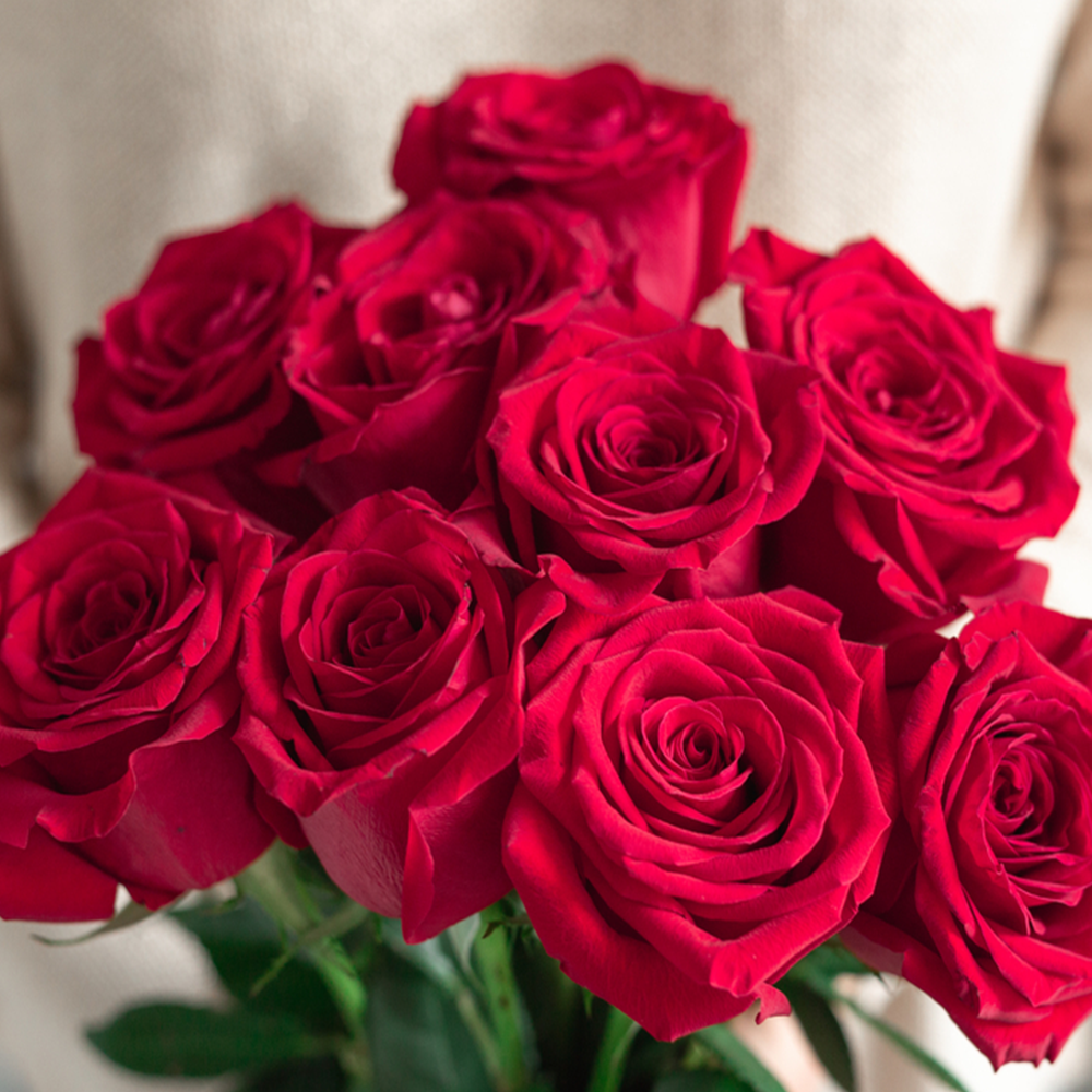 9 Rose Rosse da 70 cm