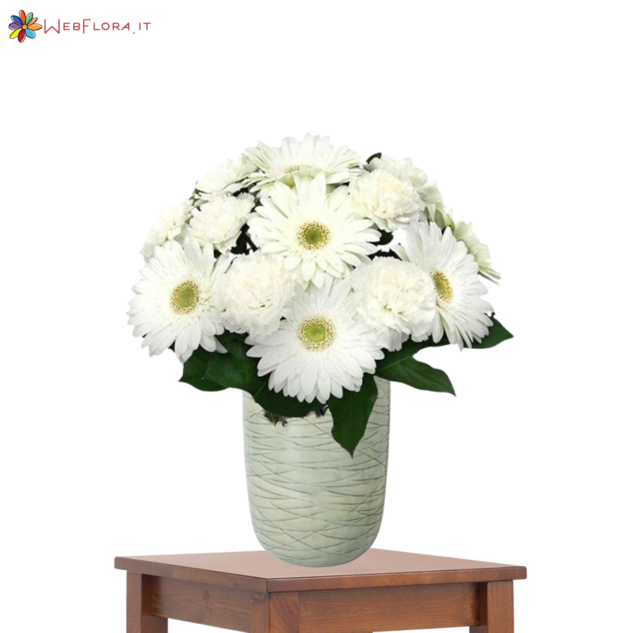 Bouquet Gerbere Bianche